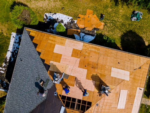 Best Flat Roof Repair Services  in Strum, WI